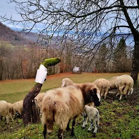 Nocleg ze śniadaniem La Casera Del Cuore Pedavena