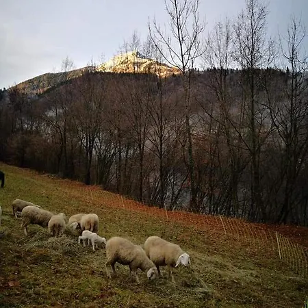 La Casera Del Cuore Nocleg ze śniadaniem *